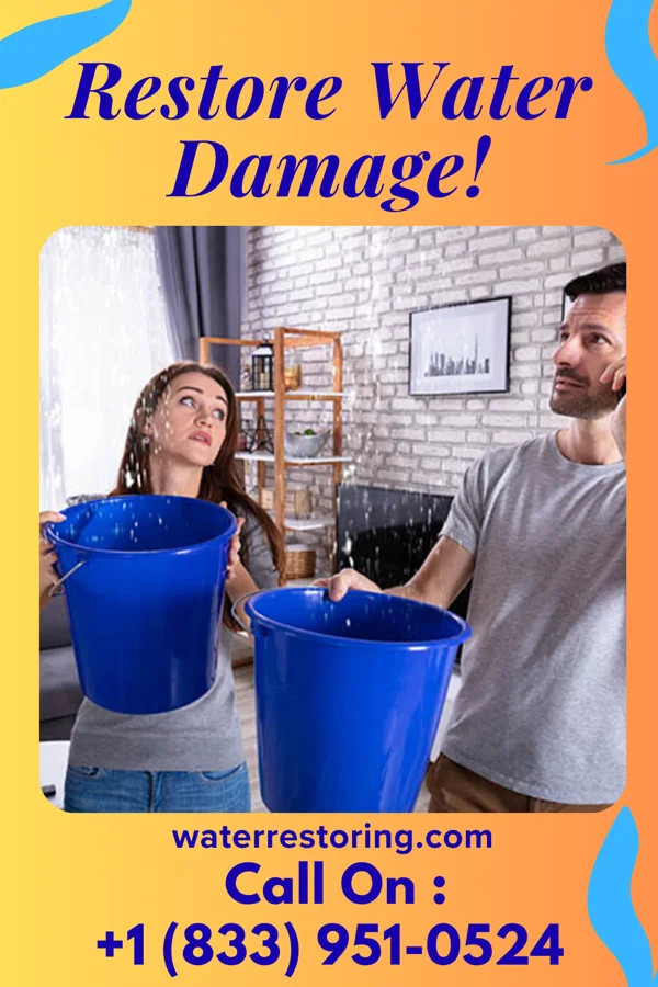 water restoration Vigilant Water Mitigation Solutions Dougherty